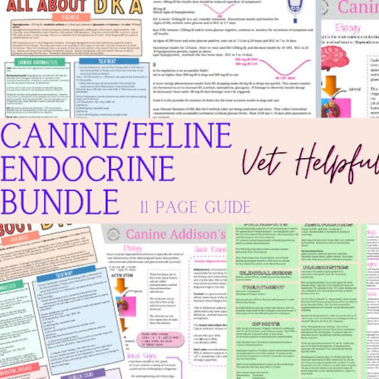 Veterinary Endocrine Diseases Bundle- Vet Tech, Vet Nurse, Vet Student, Vet