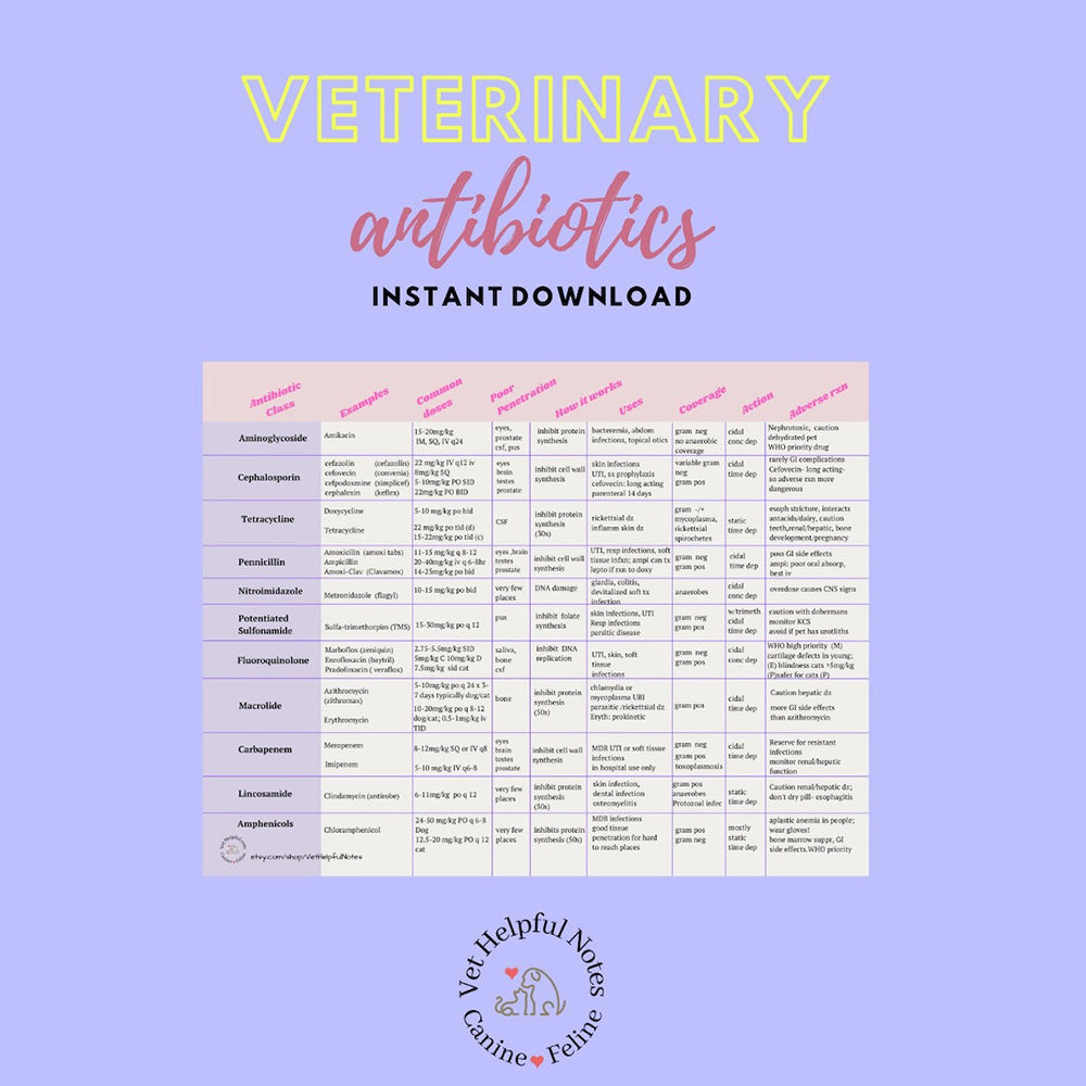 Veterinary antibiotics study guide, vet tech antibiotic cheat sheets, antibiotic reference guides