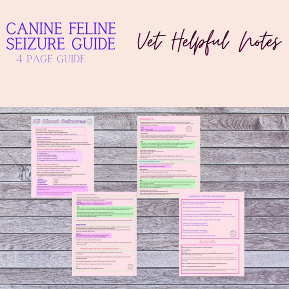 Canine/Feline Seizure Guide, Vet Tech Notes, Vet Student Notes, Vet Study