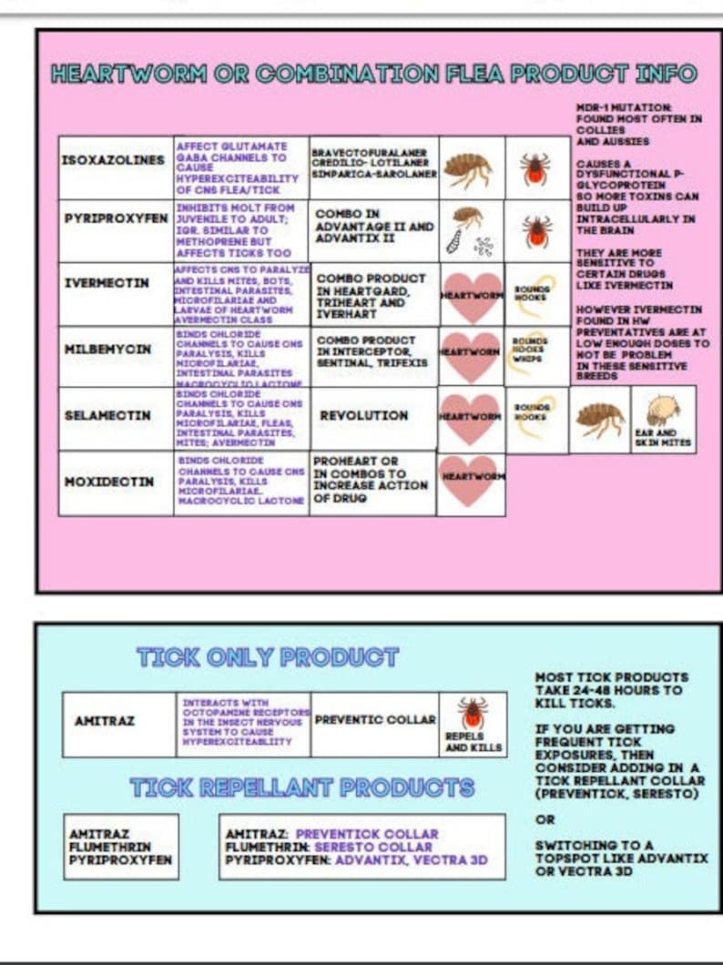 Vet Ectoparasites Guide, Vet Tech Ectoparasites, pharmacology