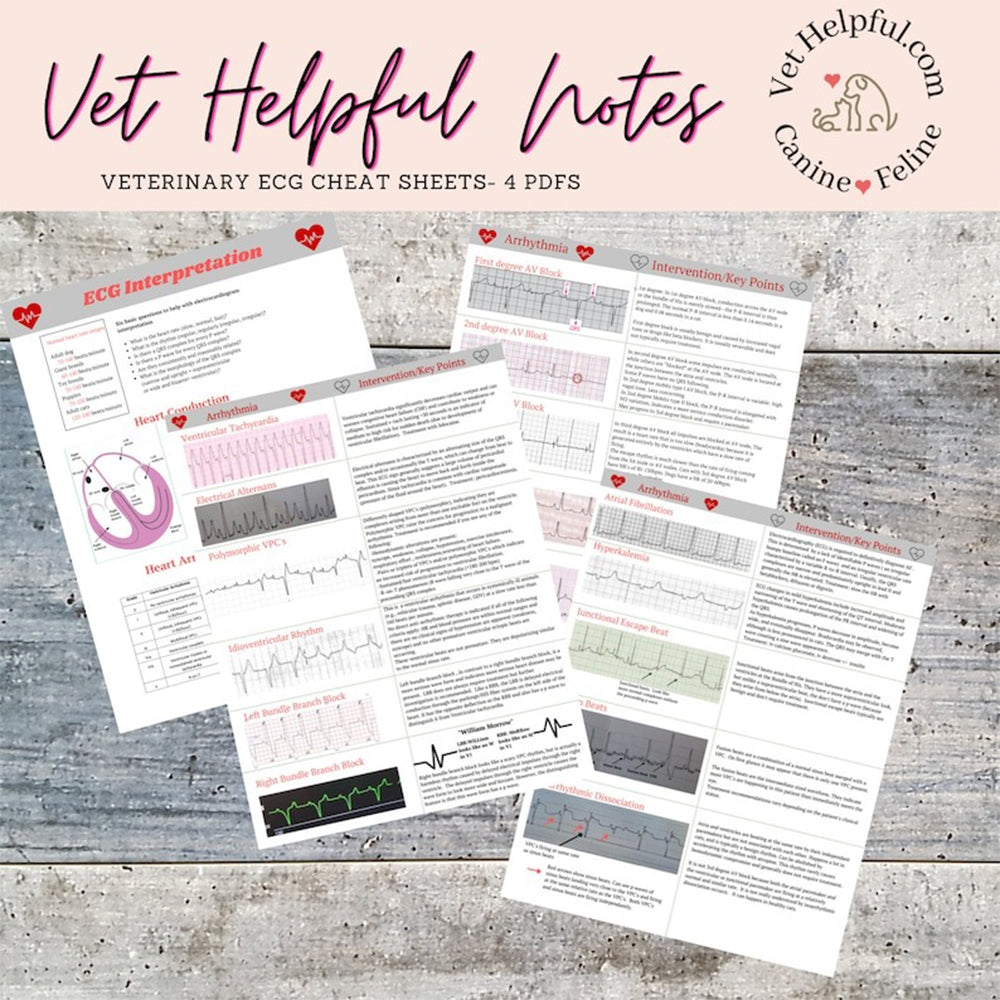 Vet ECG cheat sheets, vet nurse ECG guide, vet tech ECG guide