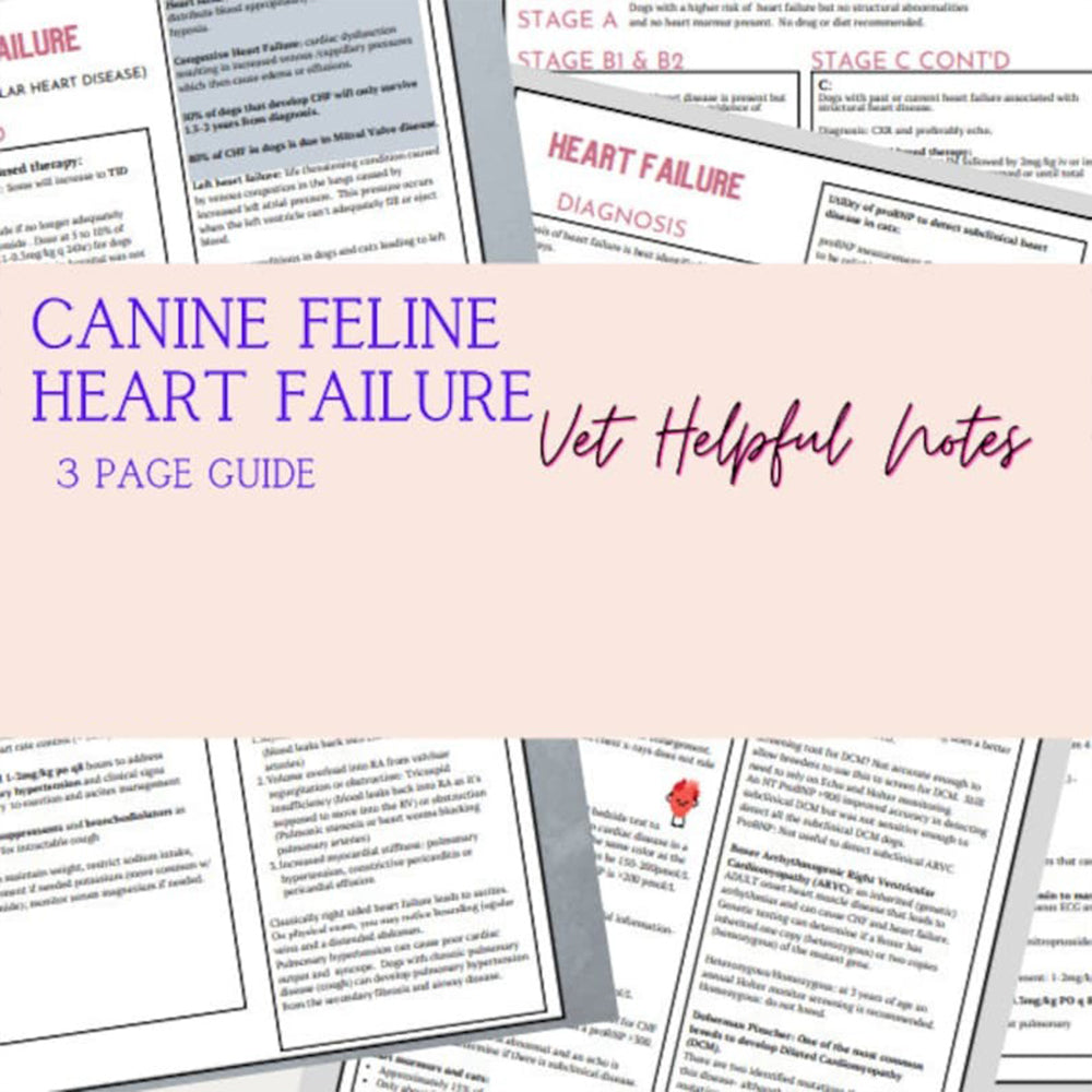 Canine Feline Heart Failure, Vet Med Guide