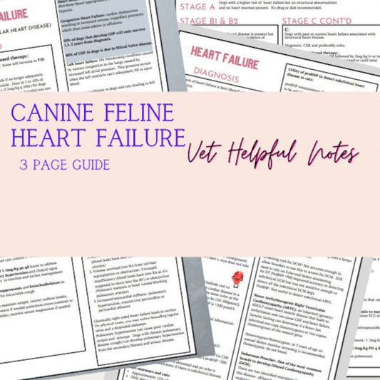 Canine Feline Heart Failure, Vet Med Guide