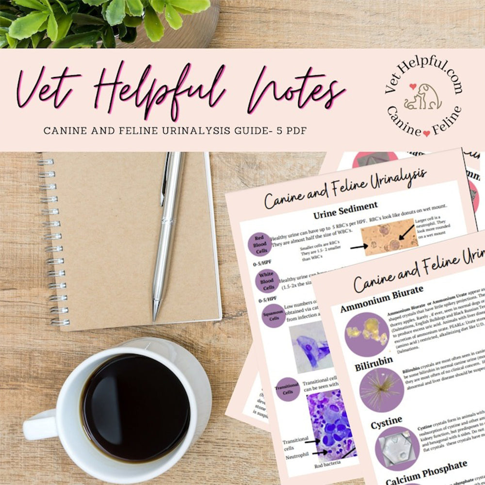 Veterinary Urinalysis Guide – Vet.Helpful.Notes