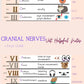 Canine/Feline Cranial Nerves Sheet- Vet Tech, Vet Nurse, Vet Student