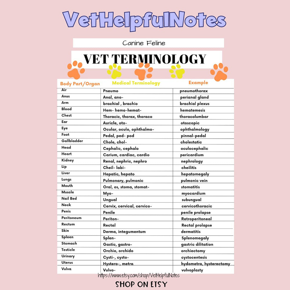 Vet med acronym suffix prefix veterinary cheat sheet vet tech notes acronyms vet nurse suffix guide vet tech study guide vet student study