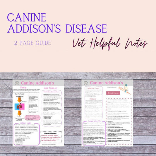 Canine Addison's Disease Guide- vet tech, vet student, veterinarian
