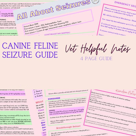 Canine/Feline Seizure Guide, Vet Tech Notes, Vet Student Notes, Vet Study