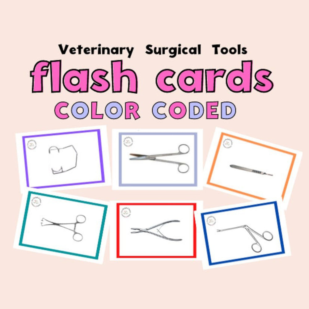 Vet flash cards surgery veterinary flashcards surgical instruments vet tech study cards vet med study cards vet tech gift veterinarian gift