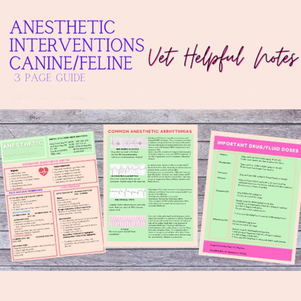 Veterinary Anesthesia- Intervention for Complications, Vet Tech, VTNE, Vet Med study guide