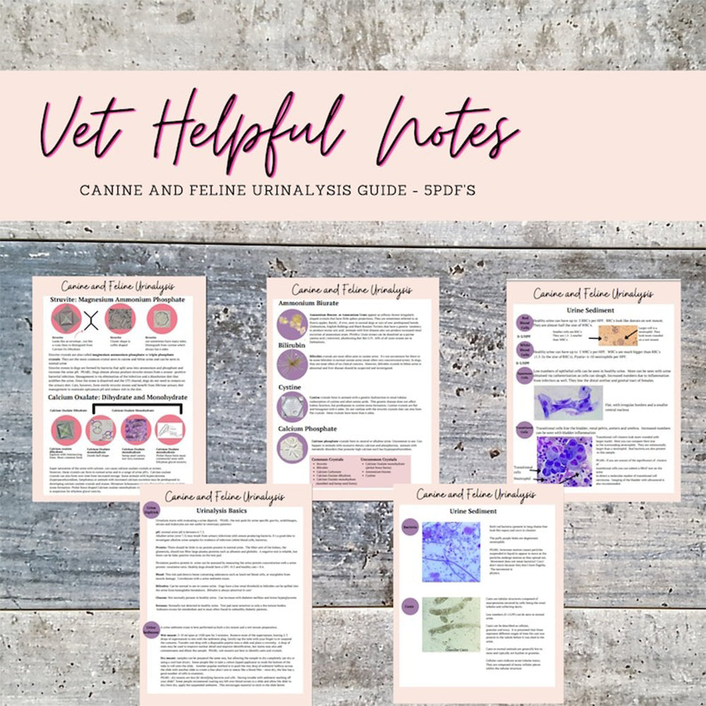 Veterinary Urinalysis Guide – Vet.Helpful.Notes