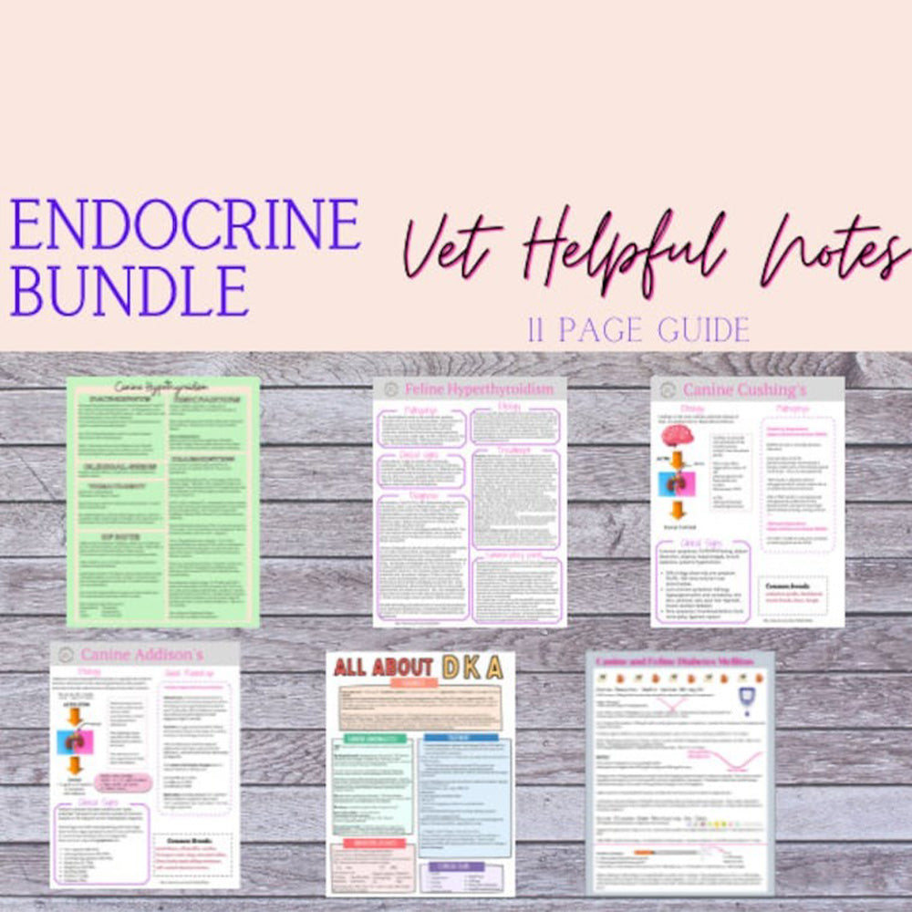 Veterinary Endocrine Diseases Bundle- Vet Tech, Vet Nurse, Vet Student, Vet