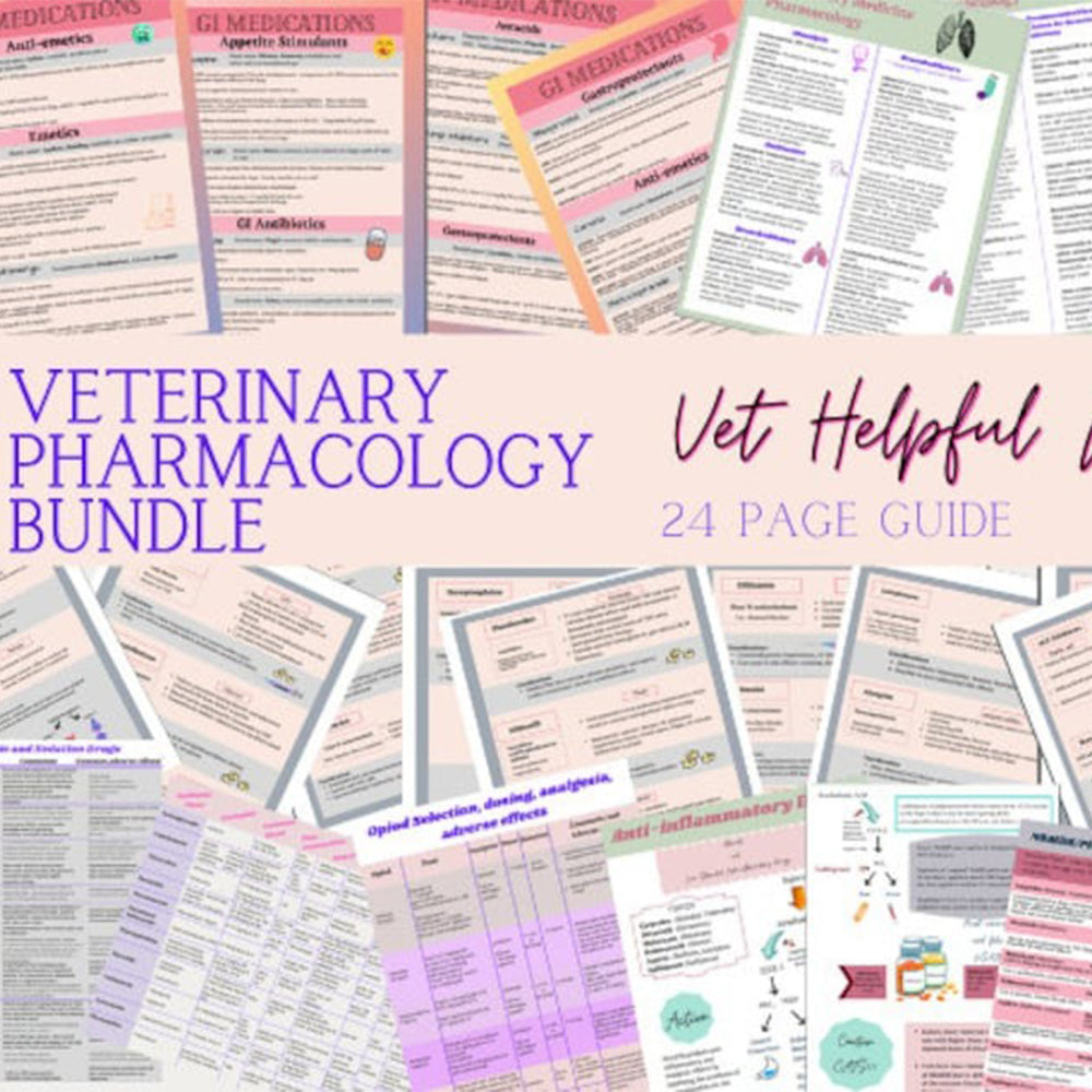 Veterinary pharmacology bundle: Antibiotics,GI, Cardio, Respiratory, NSAID/steroids, Opioid/sedation/anesthesia drugs, VTNE prep