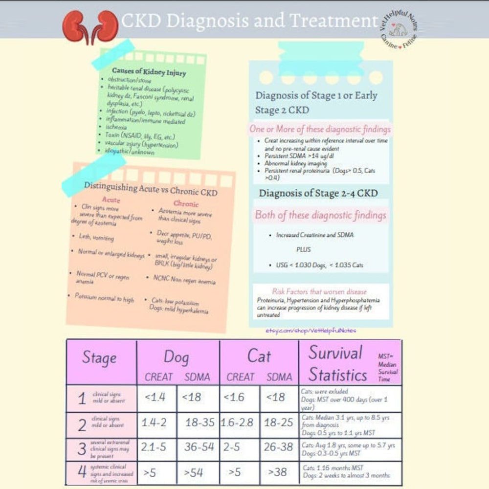 A closer look at Homeopathic Remedies For Feline Chronic Kidney Disease