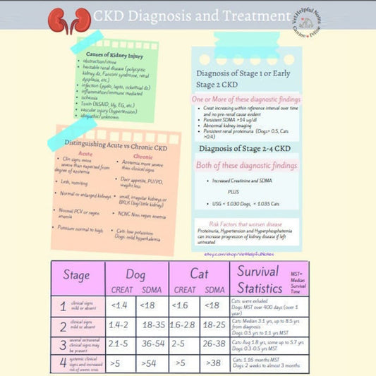 Canine/Feline Chronic Kidney Disease Guide
