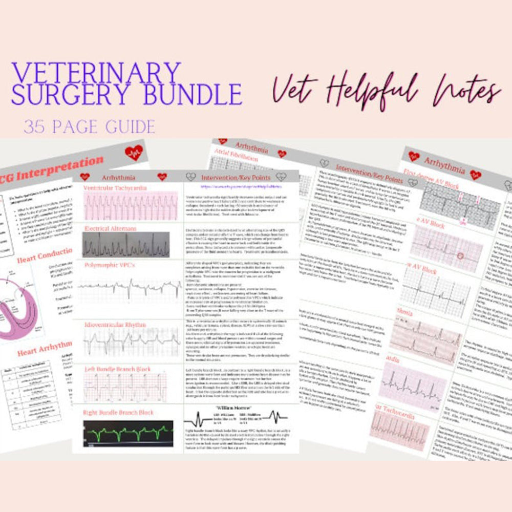 Vet Docnotes Veterinary Surgery Bundle - 29 Page Download – Vet Helpful Notes