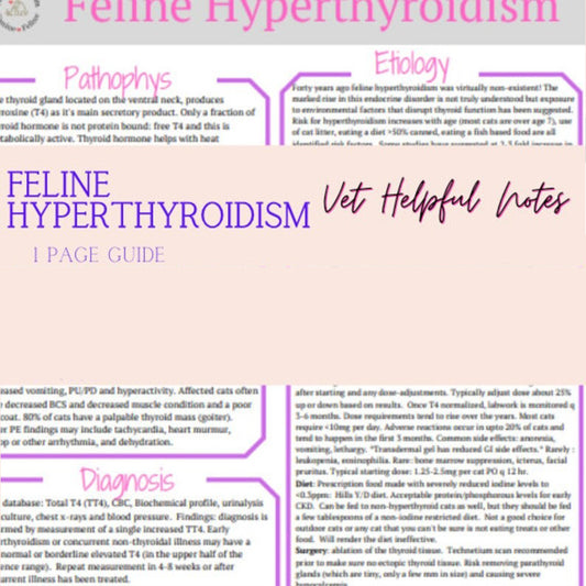 Feline Hyperthyroidism Guide, vet student notes, vet tech notes