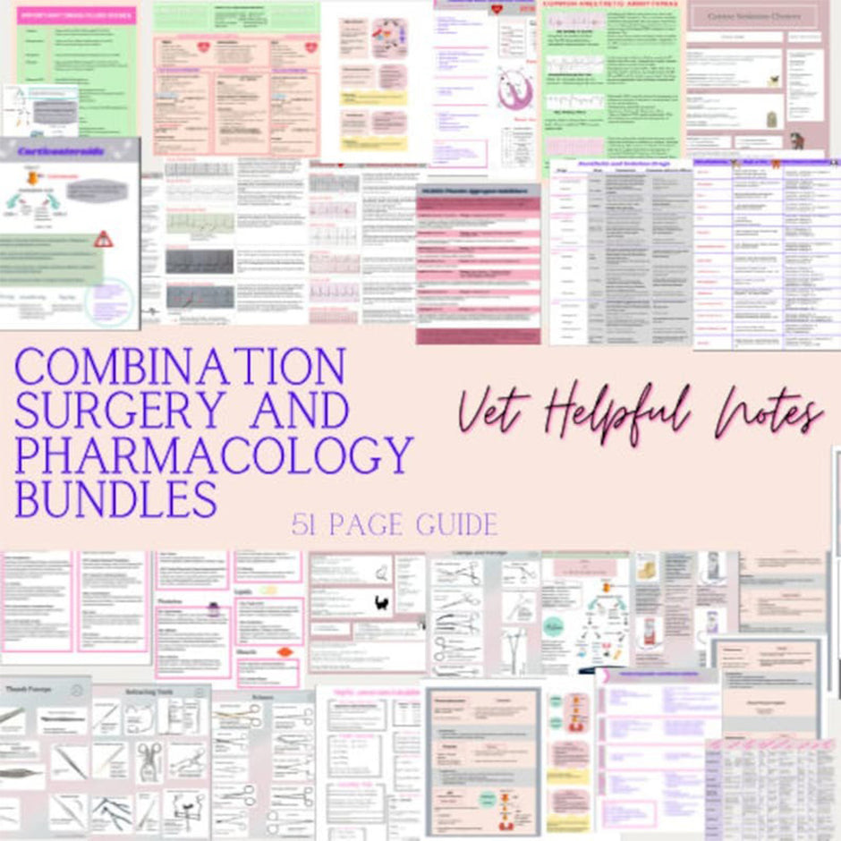 VetHelpful Notes – Vet.Helpful.Notes