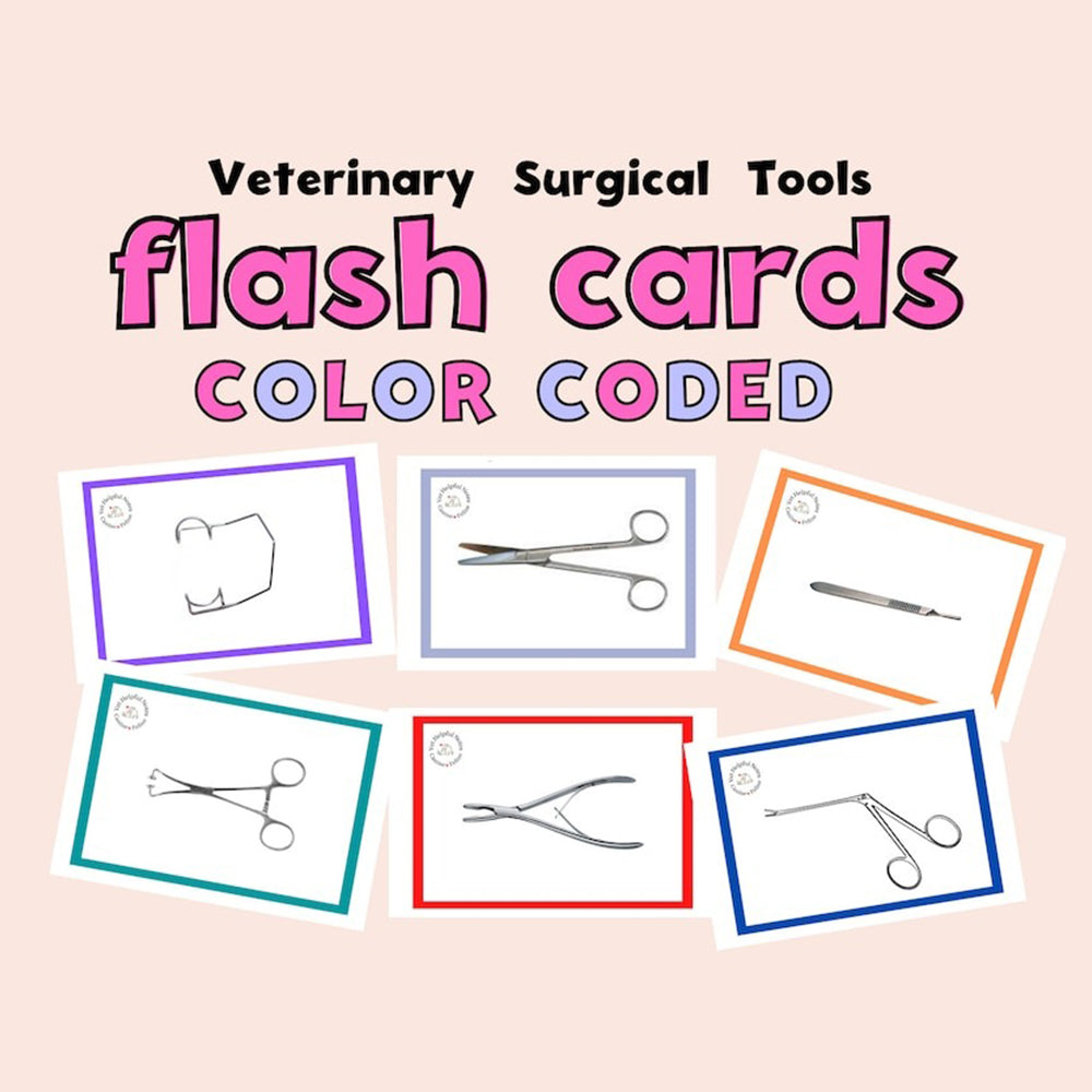 Vet flash cards surgery veterinary flashcards surgical instruments vet tech study cards vet med study cards vet tech gift veterinarian gift