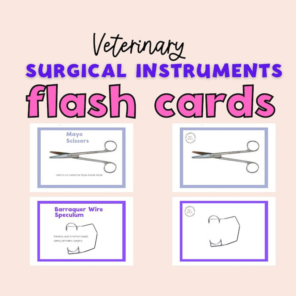 Vet flash cards surgery veterinary flashcards surgical instruments vet tech study cards vet med study cards vet tech gift veterinarian gift