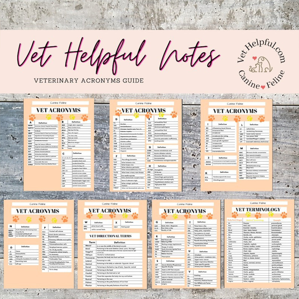 Vet Med Acronym Suffix Prefix Veterinary Cheat Sheet Vet Tech Notes Ac vet-med-acronym-suffix-prefix-veterinary-cheat-sheet-vet-tech-notes-ac