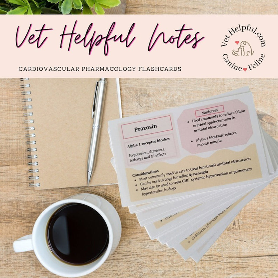VetHelpful Notes – Vet Helpful Notes