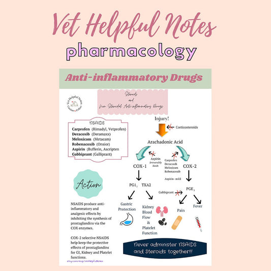 Pharmacology, vet tech notes, NSAID and Steroids, vet nursing notes