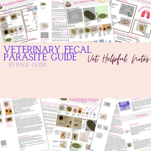 Veterinary fecal parasite guide, vet tech fecal, vet nurse