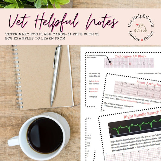 Vet reference ECG, vet tech pocket guide , ECG reference, EKG , flash cards