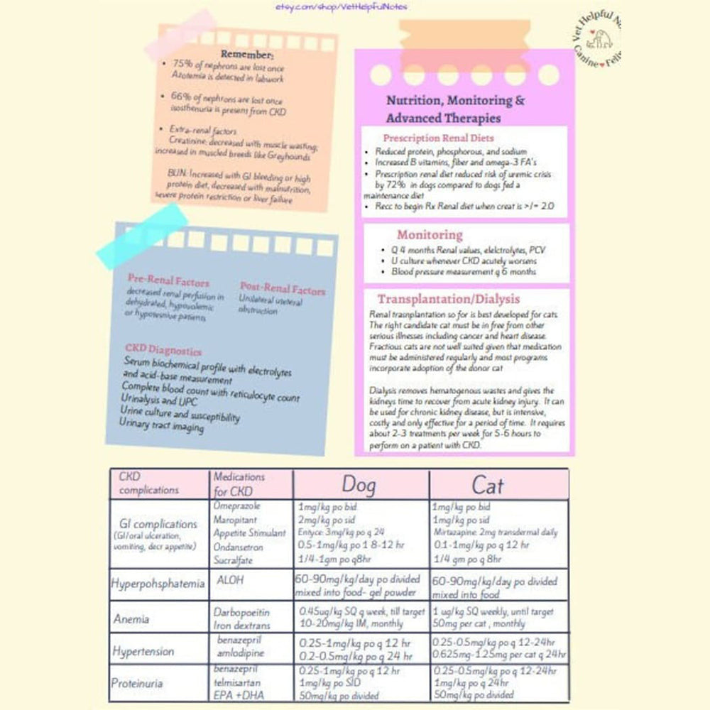 Stunning Homeopathic Remedies For Feline Chronic Kidney Disease image