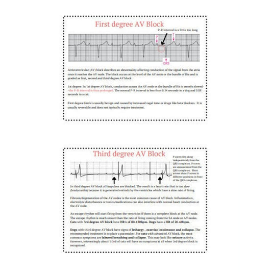 Vet reference ECG, vet tech pocket guide , ECG reference, EKG , flash cards