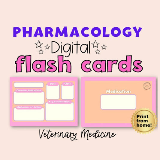 Digital drug card template veterinary pharmacology flash cards revision vet study aid vet tech medication flashcards digital vet