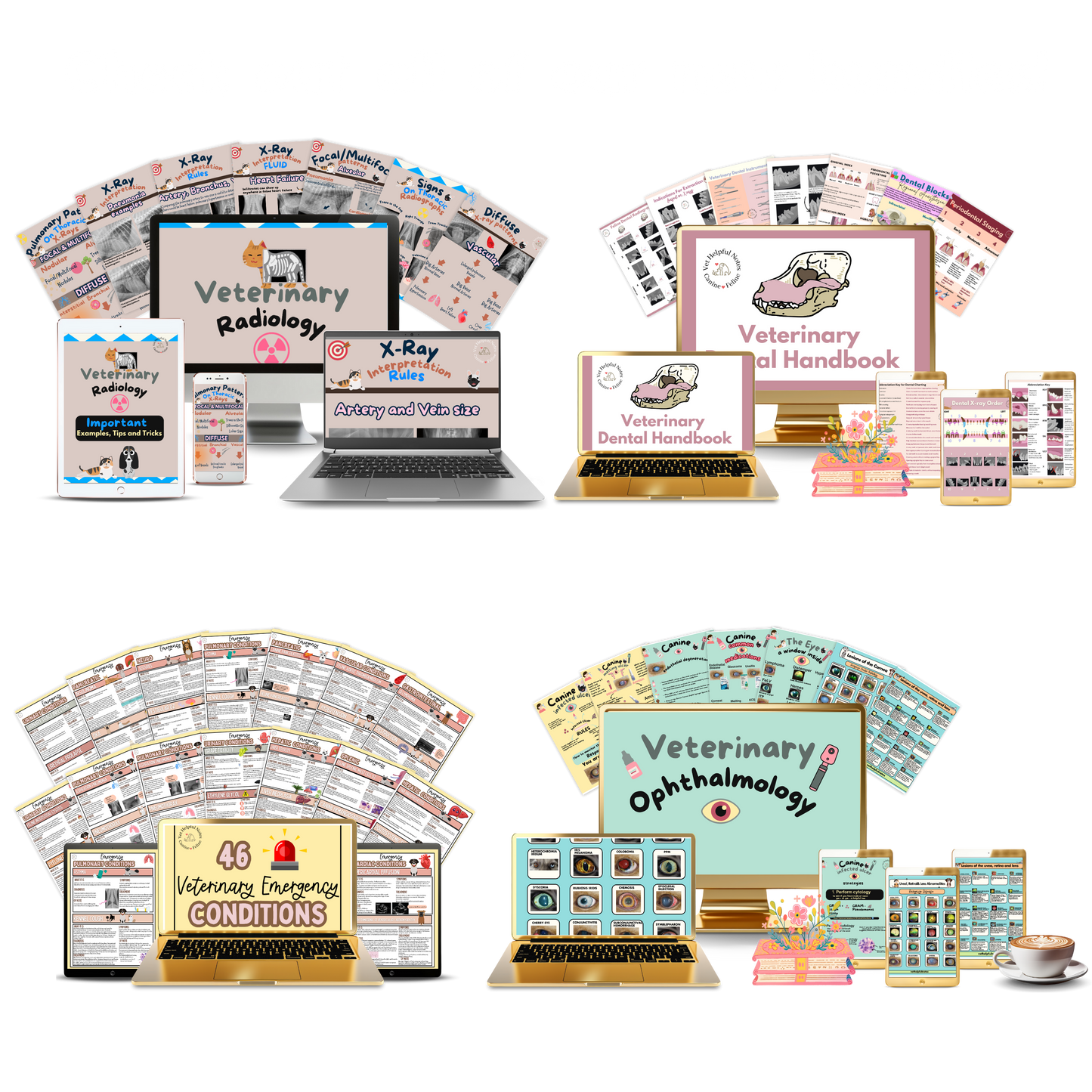 Canine and feline radiology interpretation guide - 90 Page Digital PDF ***Snow Day Flash Sale 25% Off***