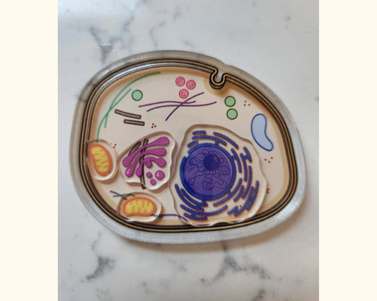 cell biology badge reel lab tech badge microbiology laboratory STEM gift cellular biology research  gift medicine lab tech badge scientist