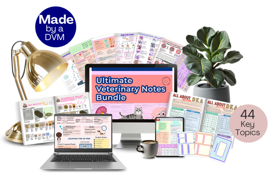 Ultimate Veterinary Notes Bundle - 244 Pages - Instant Download  -42% OFF  ***UNTIL 11/16***