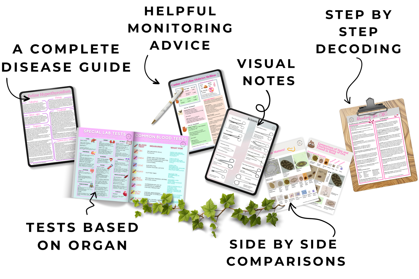 Ultimate Veterinary Notes Bundle - 244 Pages - Instant Download  -52% OFF **Through 4/10***