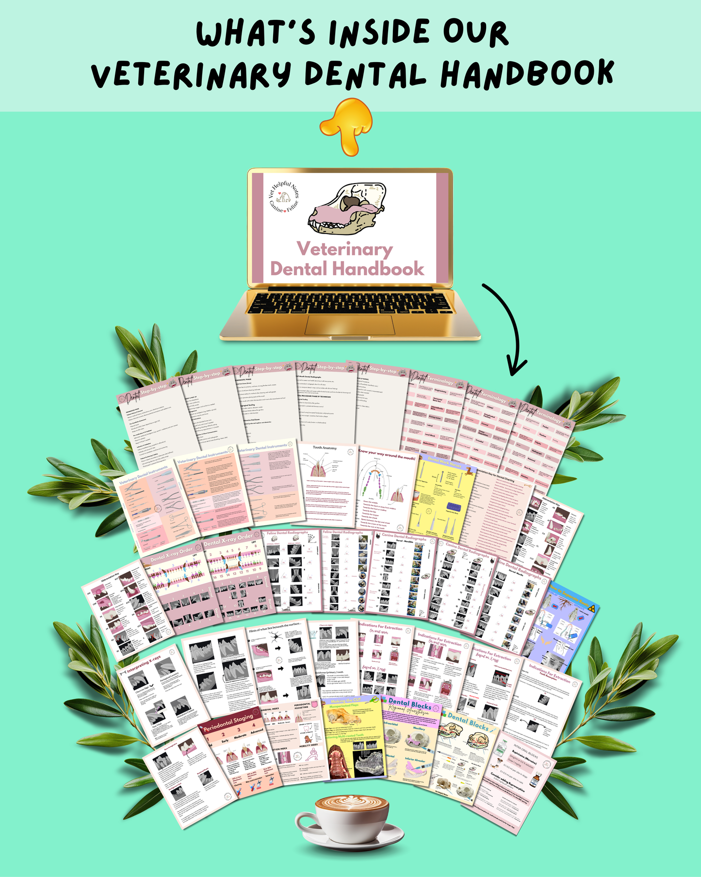 Veterinary Dental Handbook - 40 Pages