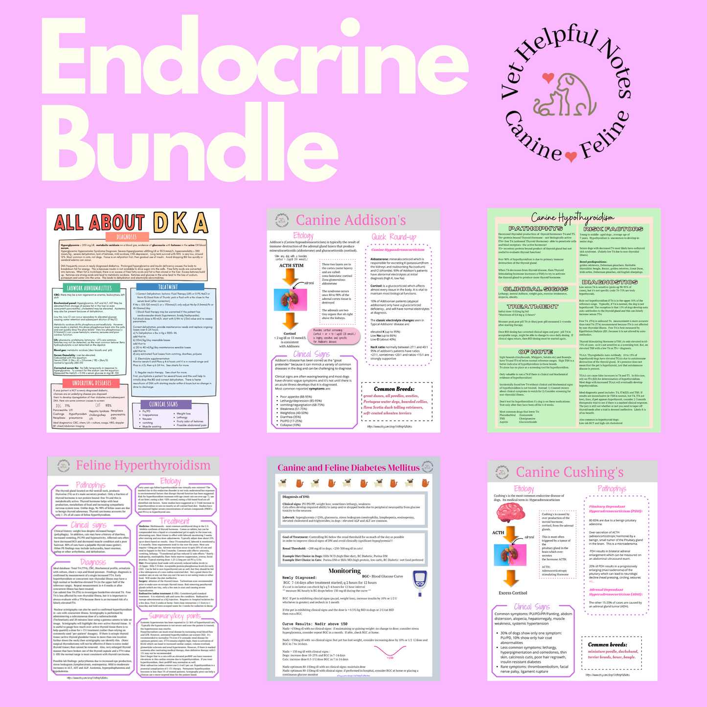 Veterinary Endocrine Diseases Bundle- Vet Tech, Vet Nurse, Vet Student, Vet