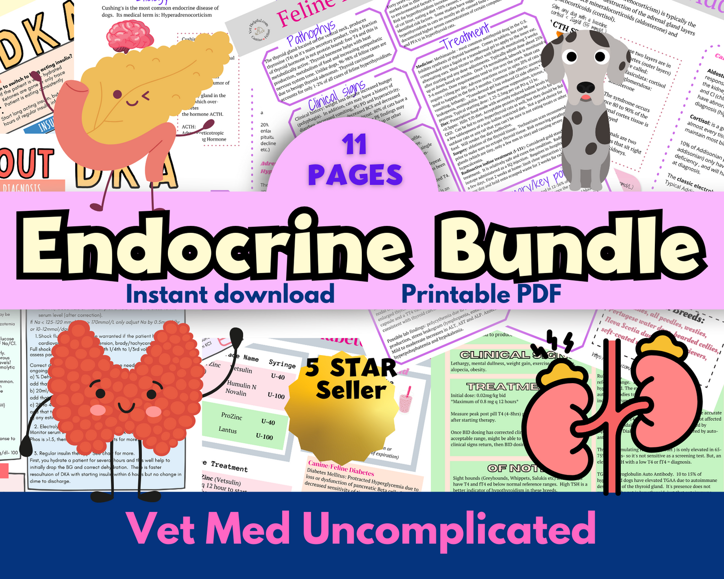Veterinary Endocrine Diseases Bundle- Vet Tech, Vet Nurse, Vet Student, Vet