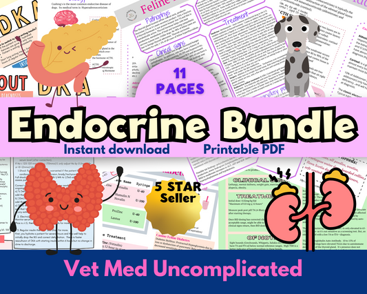 Veterinary Endocrine Diseases Bundle- Vet Tech, Vet Nurse, Vet Student, Vet
