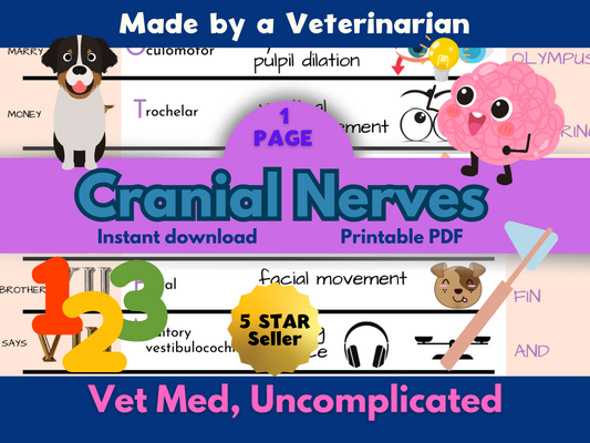 Canine/Feline Cranial Nerves Sheet- Vet Tech, Vet Nurse, Vet Student