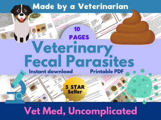 Veterinary fecal parasite guide, vet tech fecal, vet nurse