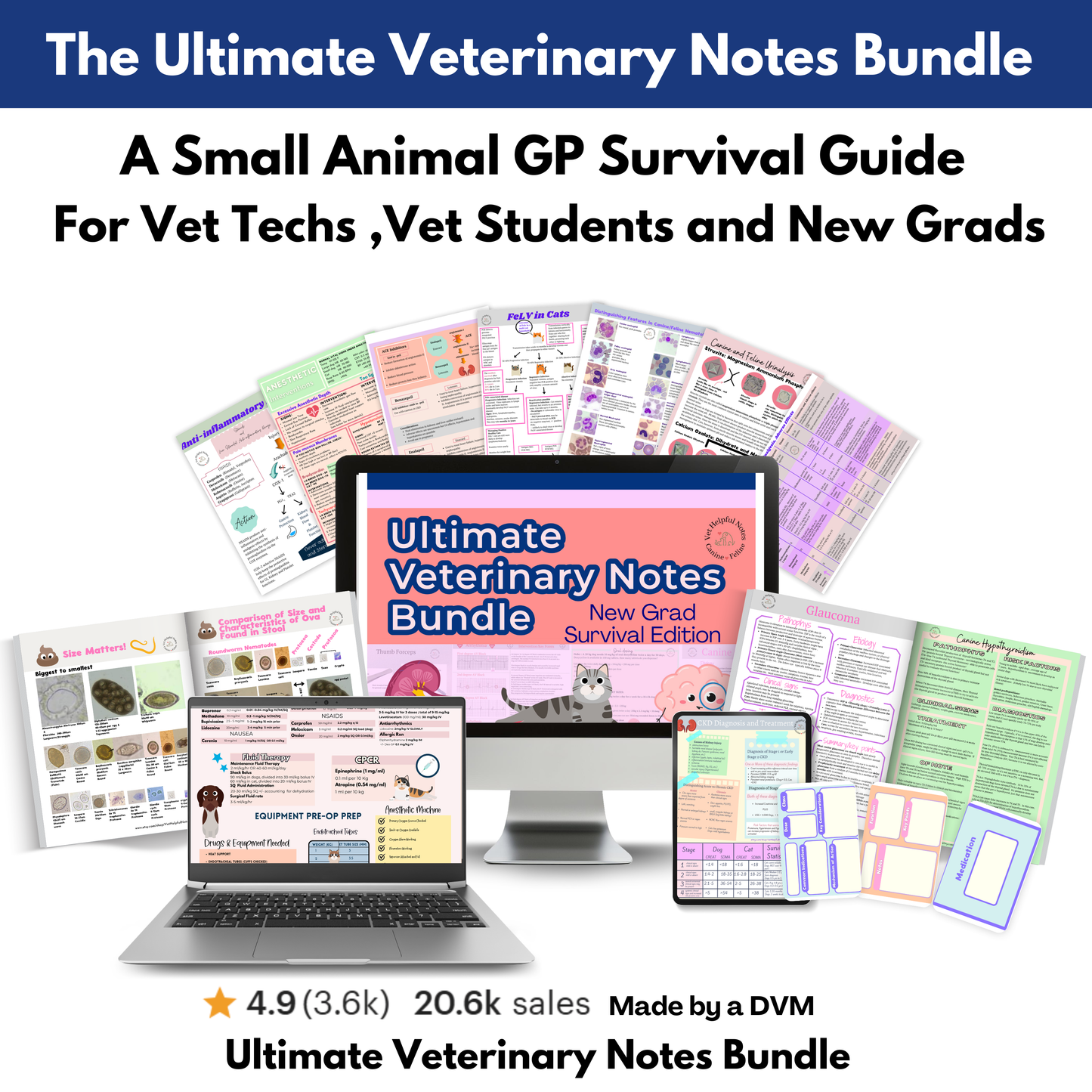 Ultimate Veterinary Notes Bundle - 244 Pages - Instant Download  -52% OFF **Through 4/10***