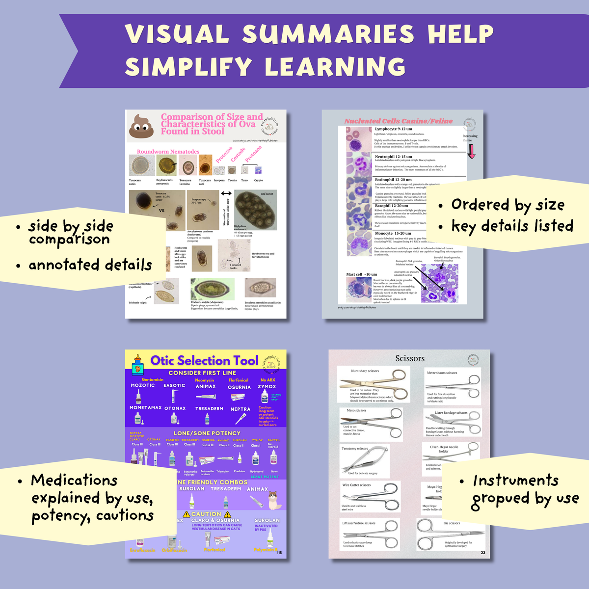 Ultimate Veterinary Notes Bundle – 244-Page Veterinary Reference | Instant Digital Download