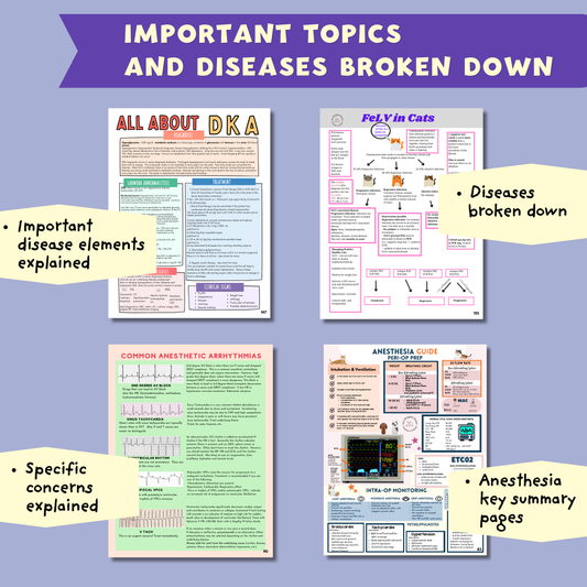 Ultimate Veterinary Notes Bundle - Hard Copy Book