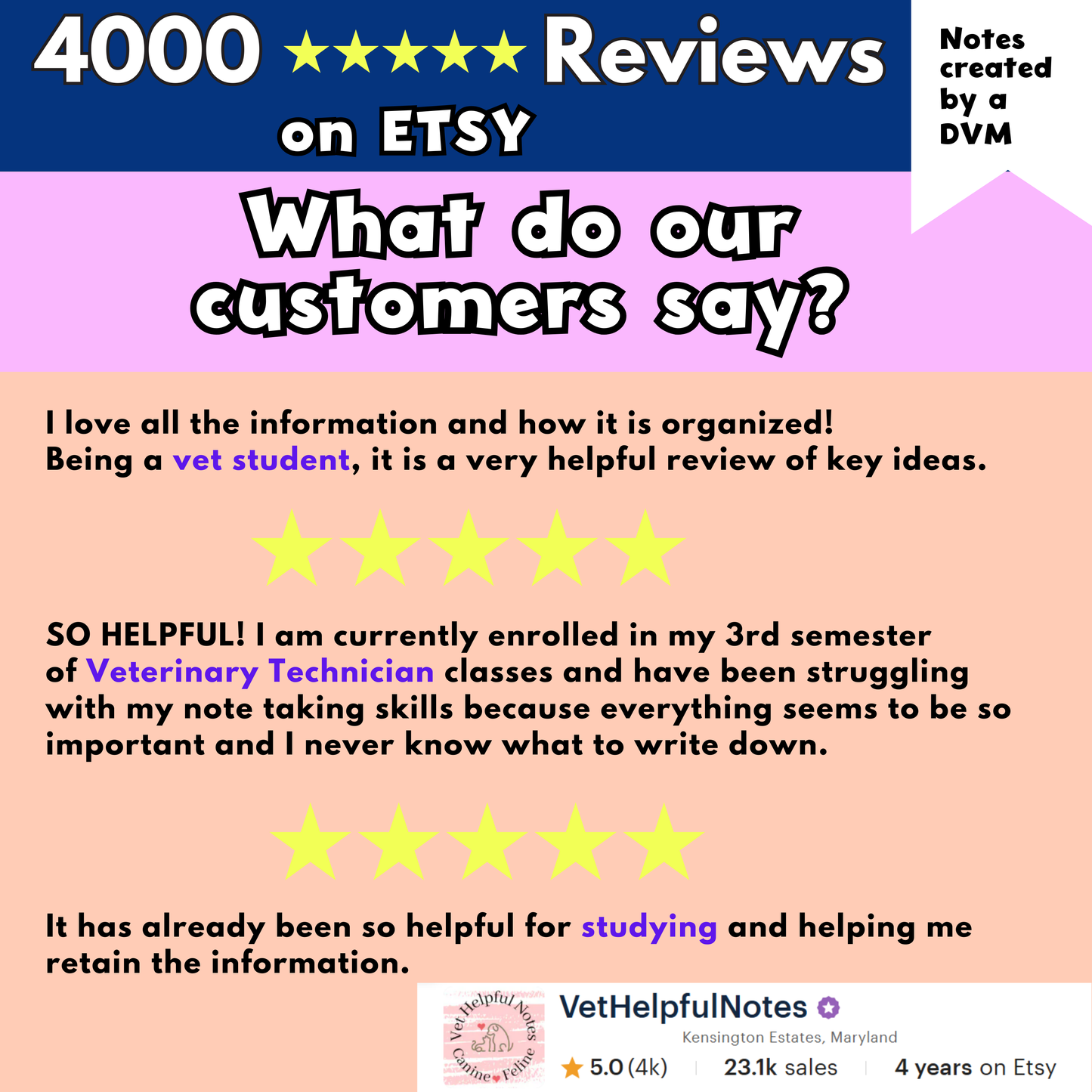 Ultimate Veterinary Notes Bundle - 244 Pages - Instant Download  -52% OFF **Through 4/10***