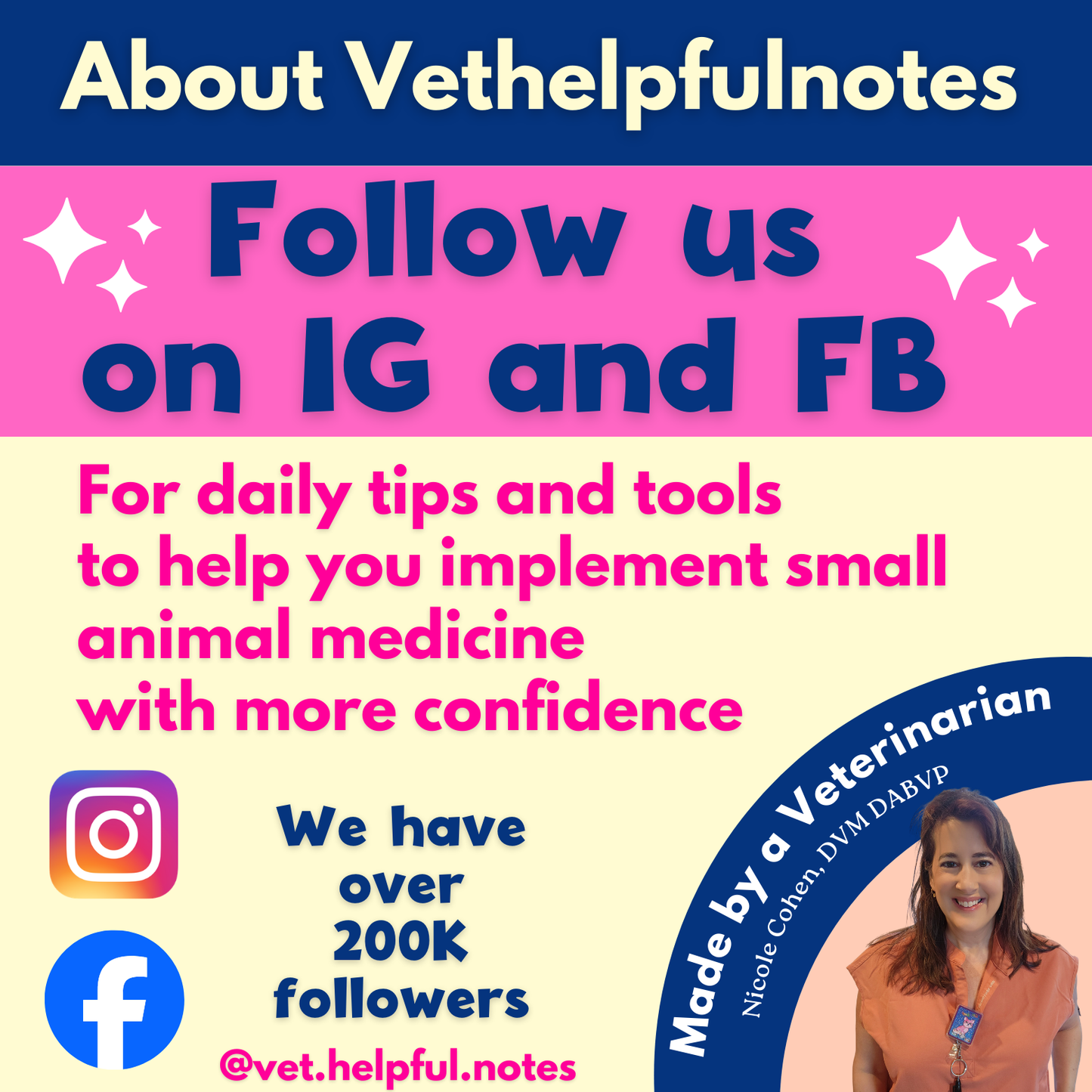 Ultimate Veterinary Notes Bundle - 244 Pages - Instant Download  -52% OFF **Through 4/10***