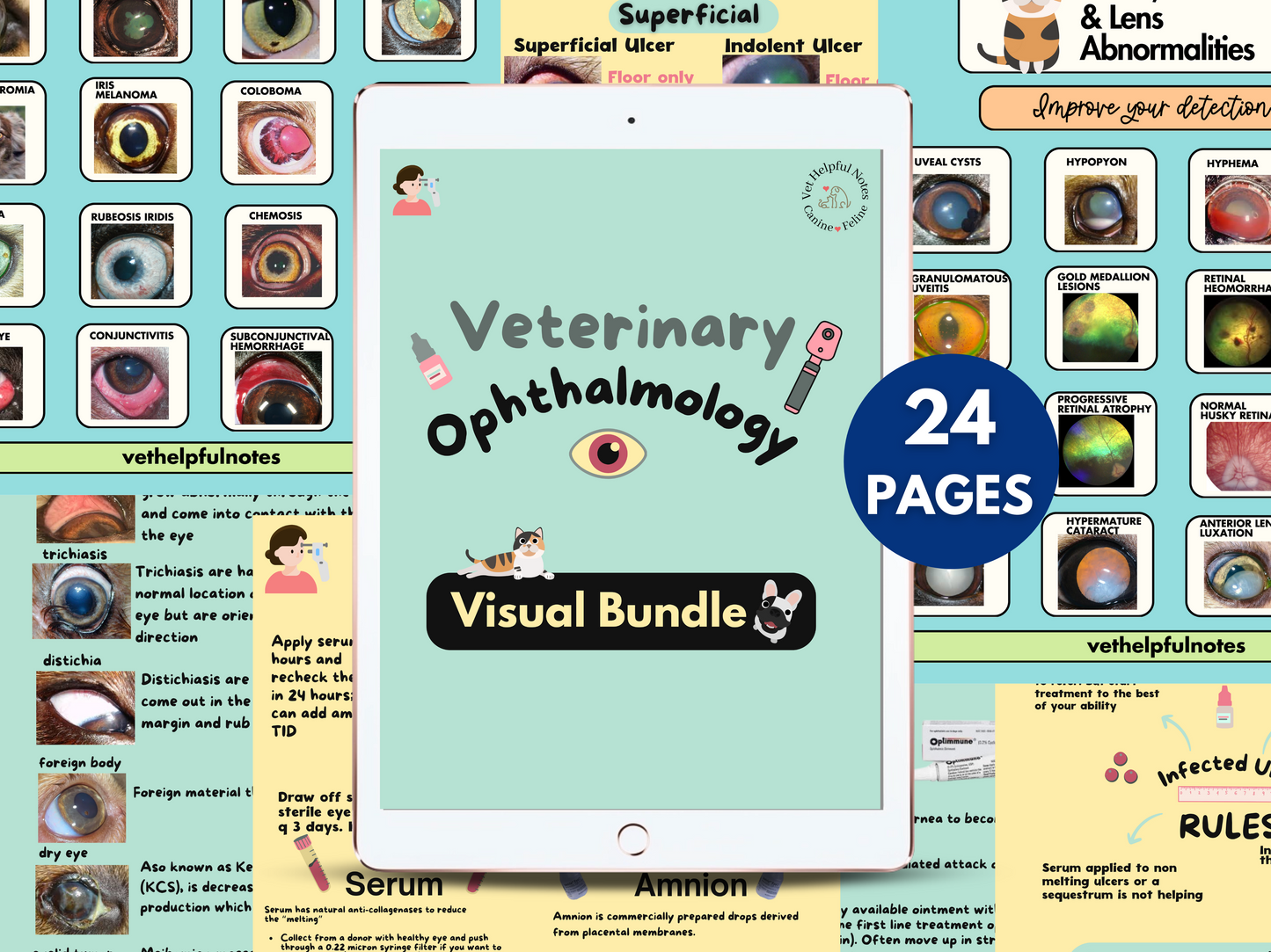 Vet ophthalmology notes vet med guide ophthalmology cheat sheets veterinary notes ophtho bundle vet tech study vetmed notes eye guide ER vet