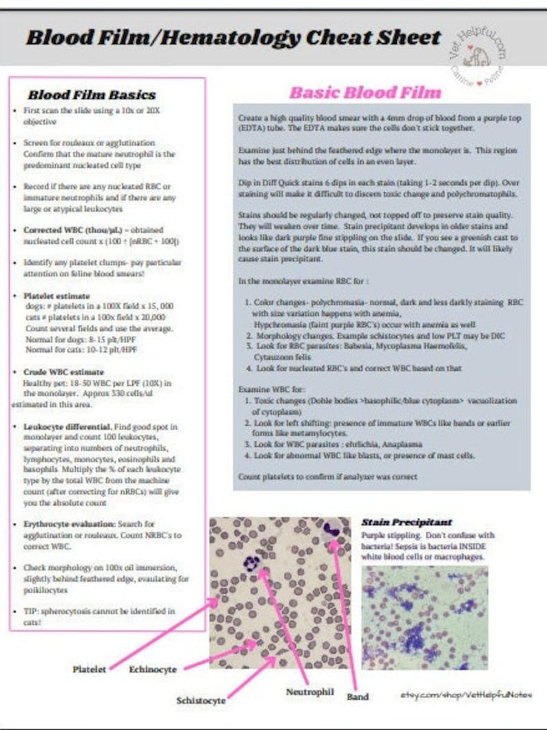 Hematology Veterinary Study Guide, Vet Tech, Vet Nurse, Vet Student Blood film interpretation Notes