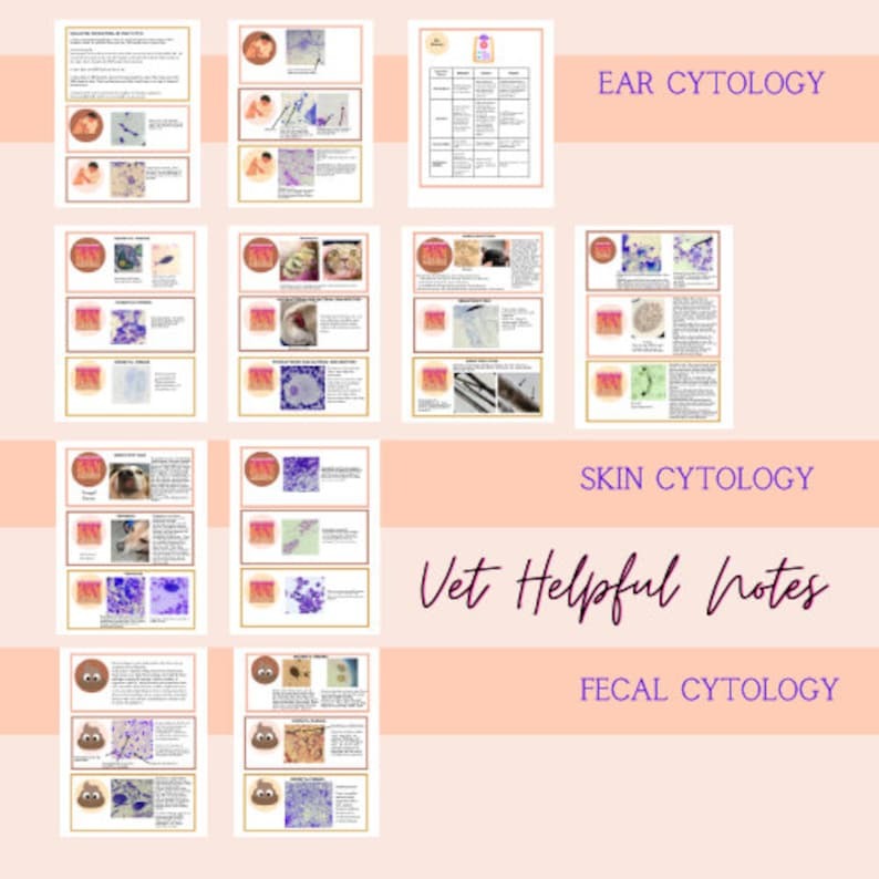Vet Tech Skin and Ear Cytology Notes, Vet Tech and Vet Nurse Study